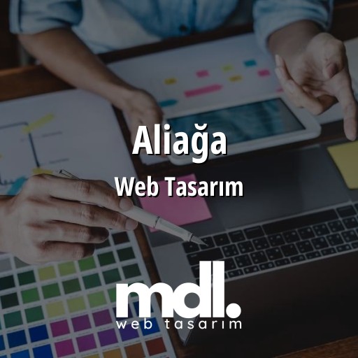 Aliağa Web Tasarım Ajansı