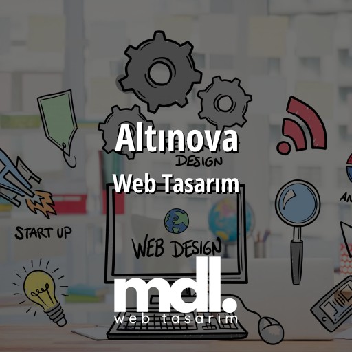 Altınova Web Tasarım Ajansı
