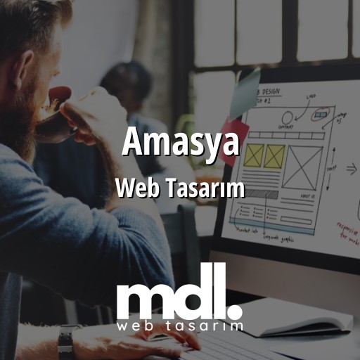 Amasya Web Tasarım Hizmetleri