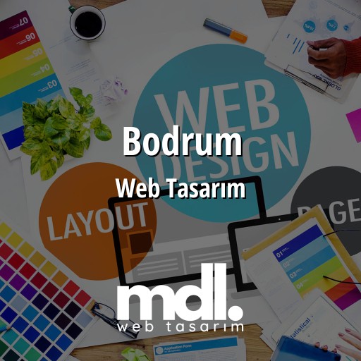 Bodrum Web Tasarım Ajansı