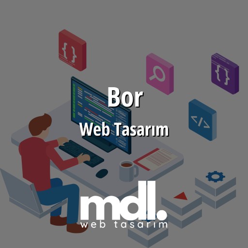 Bor Web Tasarım Ajansı