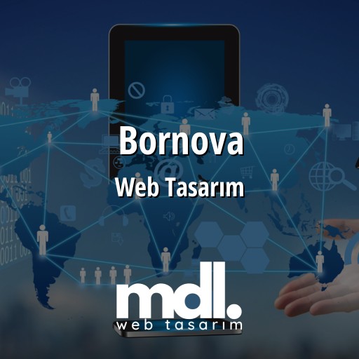 Bornova Web Tasarım Ajansı