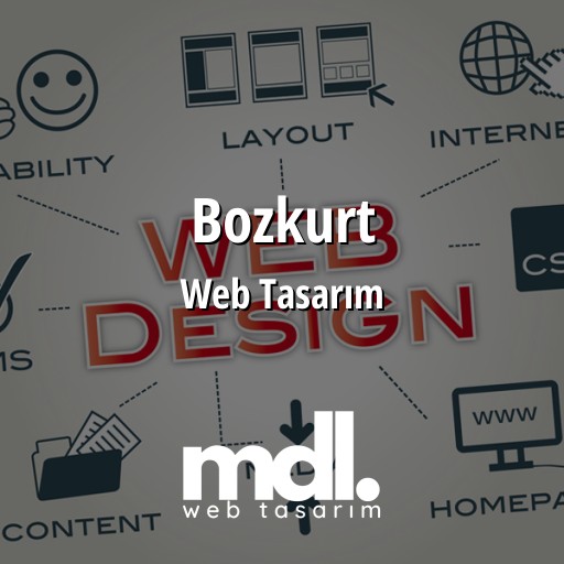 Bozkurt Web Tasarım Ajansı