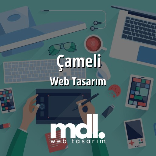 Çameli Web Tasarım Ajansı
