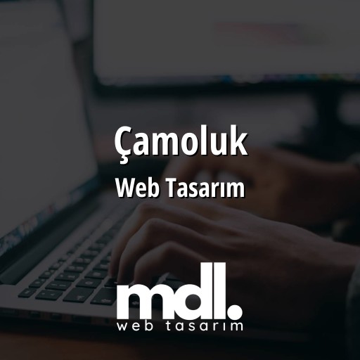 Çamoluk Web Tasarım Ajansı