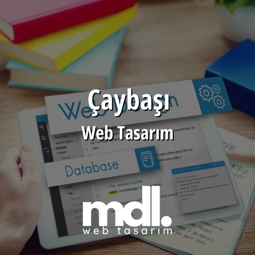 Çaybaşı Web Tasarım Ajansı