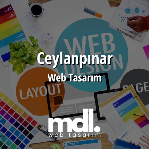 Ceylanpınar Web Tasarım Ajansı