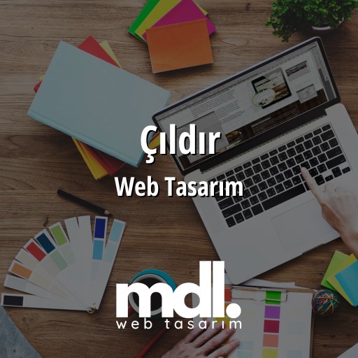 Çıldır Web Tasarım Ajansı