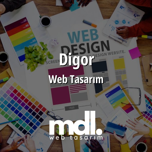Digor Web Tasarım Ajansı