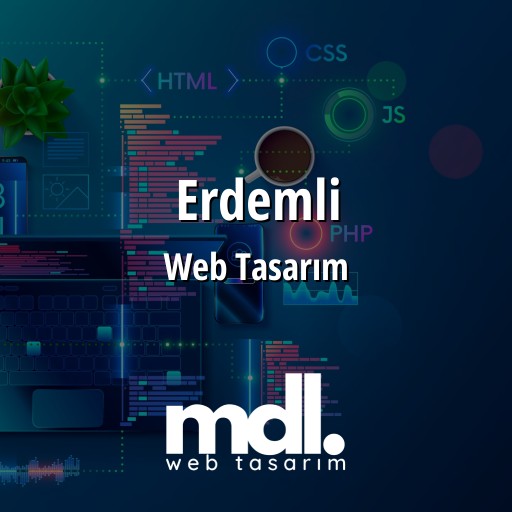 Erdemli Web Tasarım Ajansı
