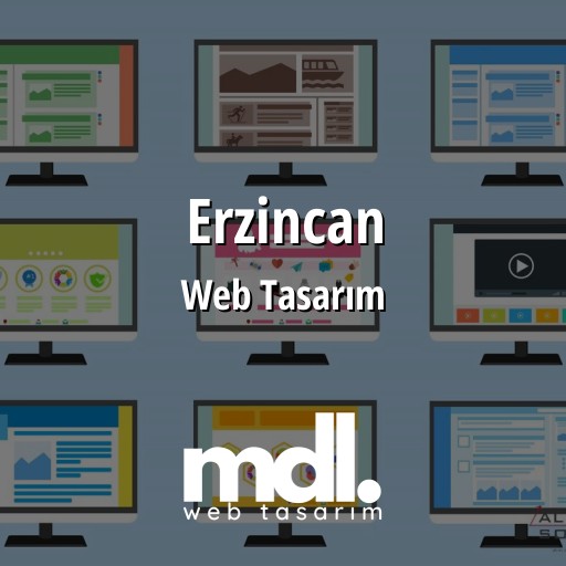 Erzincan Web Tasarım Hizmetleri