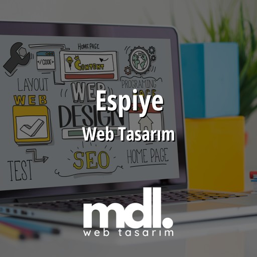 Espiye Web Tasarım Ajansı