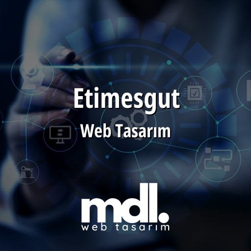 Etimesgut Web Tasarım Ajansı