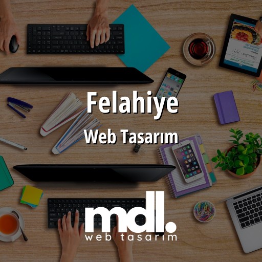 Felahiye Web Tasarım Ajansı