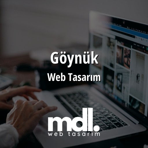 Göynük Web Tasarım Ajansı