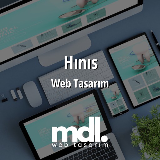 Hınıs Web Tasarım Ajansı
