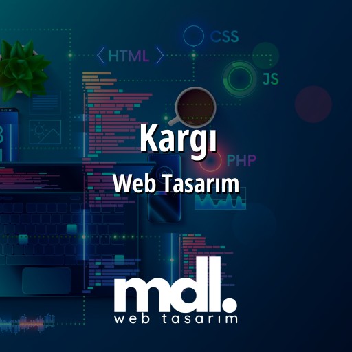 Kargı Web Tasarım Ajansı