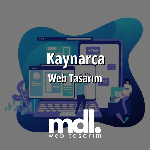 Kaynarca Web Tasarım Ajansı