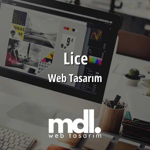 Lice Web Tasarım Ajansı