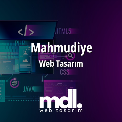 Mahmudiye Web Tasarım Ajansı