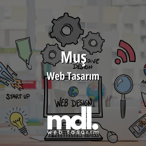Muş Web Tasarım Hizmetleri