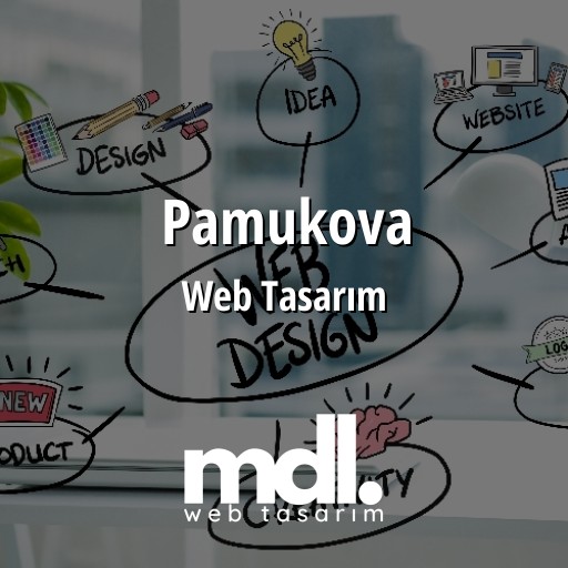 Pamukova Web Tasarım Ajansı