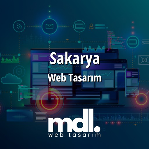 Sakarya Web Tasarım Hizmetleri