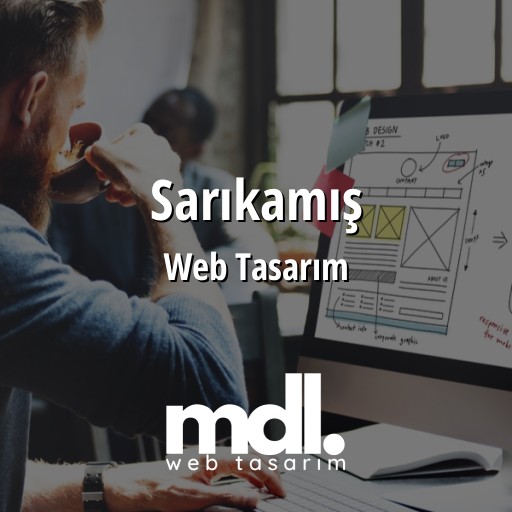 Sarıkamış Web Tasarım Ajansı