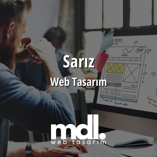 Sarız Web Tasarım Ajansı