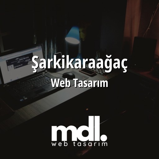 Şarkikaraağaç Web Tasarım Ajansı