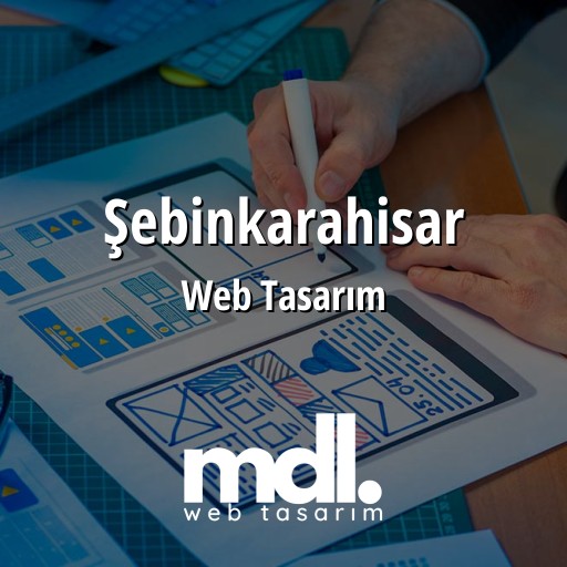 Şebinkarahisar Web Tasarım Ajansı