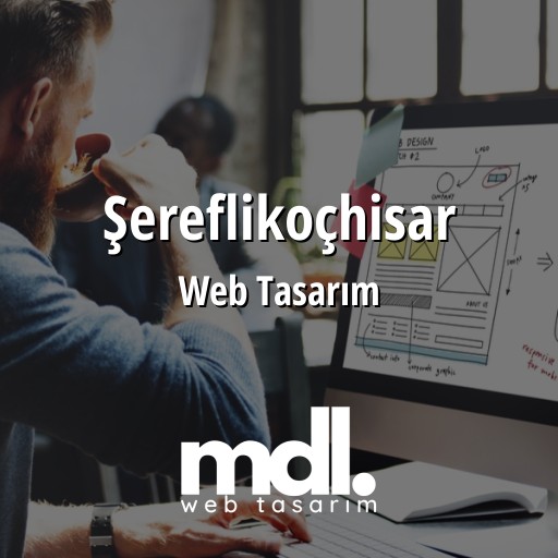 Şereflikoçhisar Web Tasarım Ajansı