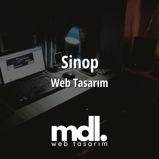 Sinop Web Tasarım Hizmetleri