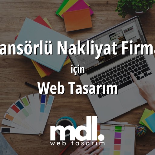 Asansörlü Nakliyat Firması için web tasarım hizmeti