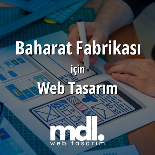 Baharat Fabrikası için web tasarım hizmeti