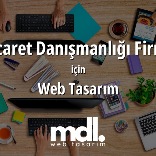 E-ticaret Danışmanlığı Firması için web tasarım hizmeti