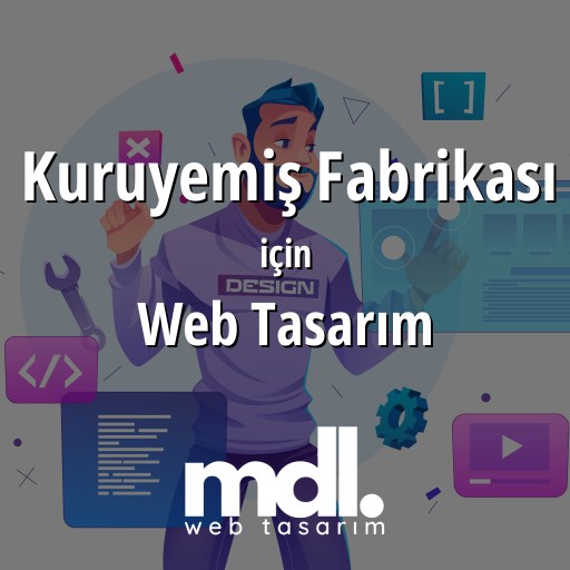Kuruyemiş Fabrikası için web tasarım hizmeti