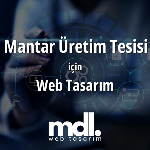 Mantar Üretim Tesisi için web tasarım hizmeti