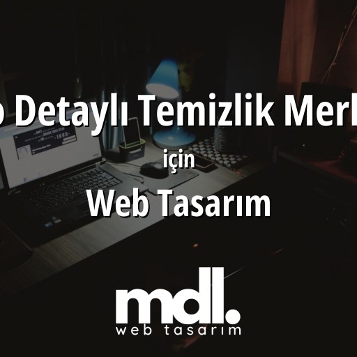 Oto Detaylı Temizlik Merkezi için web tasarım hizmeti