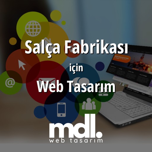 Salça Fabrikası için web tasarım hizmeti