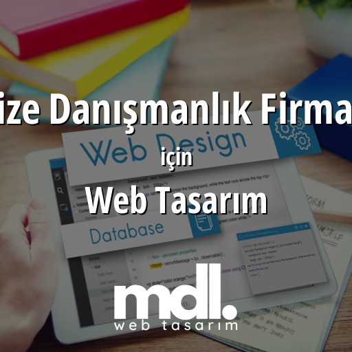 Vize Danışmanlık Firması için web tasarım hizmeti